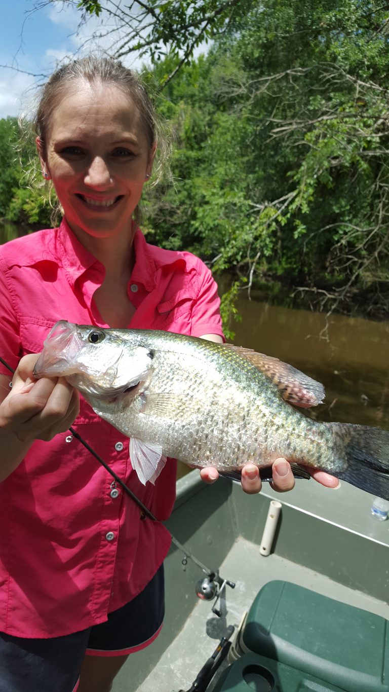 October Lake Livingston Fishing Report Palmetto Guide