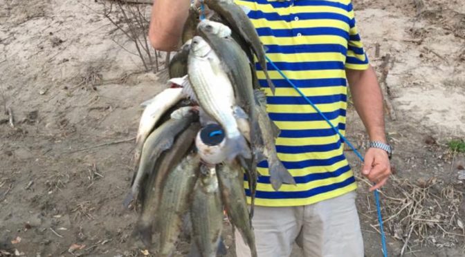 Lake Livingston Fishing report 2/3/19