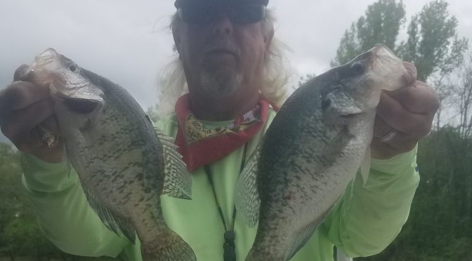 Lake Livingston Fishing Report 4/1/19